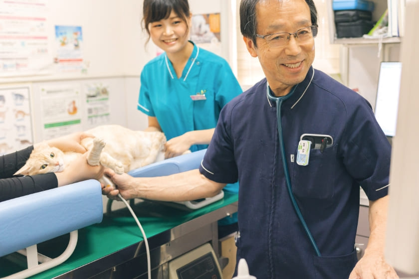 倉敷動物愛護病院,倉敷,動物病院