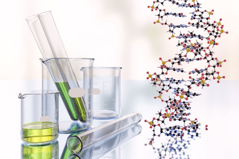 倉敷動物愛護病院,倉敷,動物病院