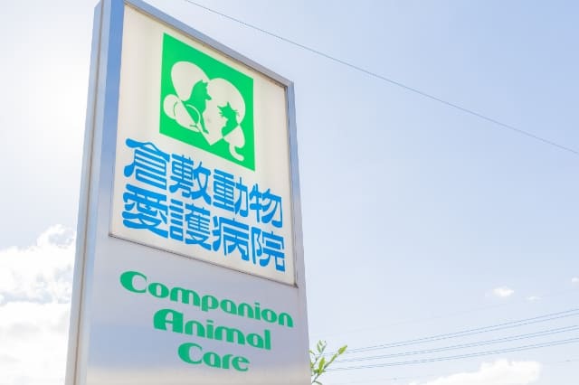 倉敷動物愛護病院,倉敷,動物病院