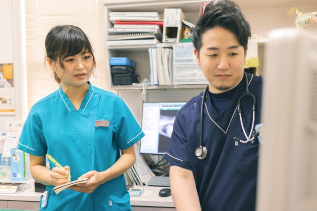 倉敷動物愛護病院,倉敷,動物病院