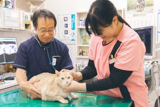 倉敷動物愛護病院,倉敷,動物病院