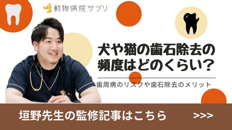 倉敷動物愛護病院,倉敷,動物病院,お知らせ