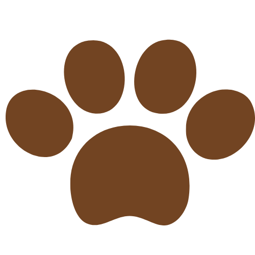 倉敷動物愛護病院,倉敷,動物病院,歯牙疾患