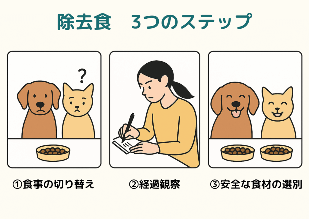犬と猫の除去食試験を説明する3ステップのイラスト。①食事の切り替え、②経過観察、③安全な食材の選別でアレルギー源を特定する流れを示す。