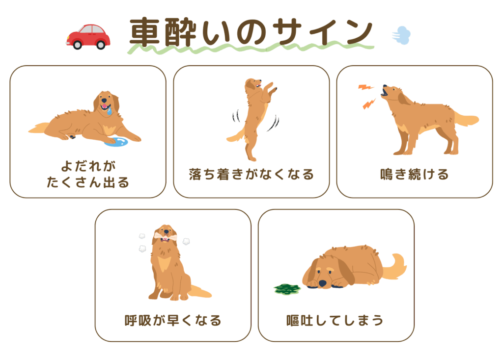 犬の車酔いのサインを示すイラスト。よだれが多く出る、落ち着きがなくなる、鳴き続ける、呼吸が早くなる、嘔吐してしまう様子が描かれている。