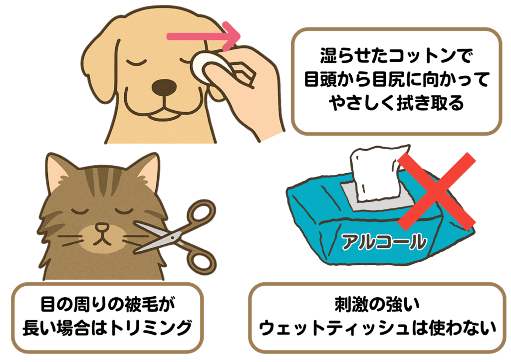 犬や猫の目やにケア方法を説明したイラスト。湿らせたコットンで目頭から目尻に向かって拭き取る様子、目の周りの被毛をカットする場面、アルコール入りウェットティッシュを避ける注意点などが描かれている。