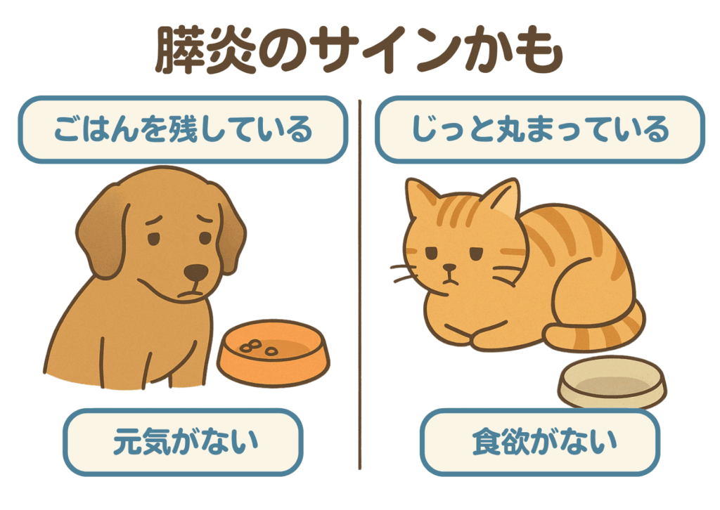 「膵炎のサインかも」という見出しとともに、犬と猫の症状が描かれているイラスト。犬は「ごはんを残している」「元気がない」様子で食器の前に座っており、猫は「じっと丸まっている」「食欲がない」様子で伏せている。
