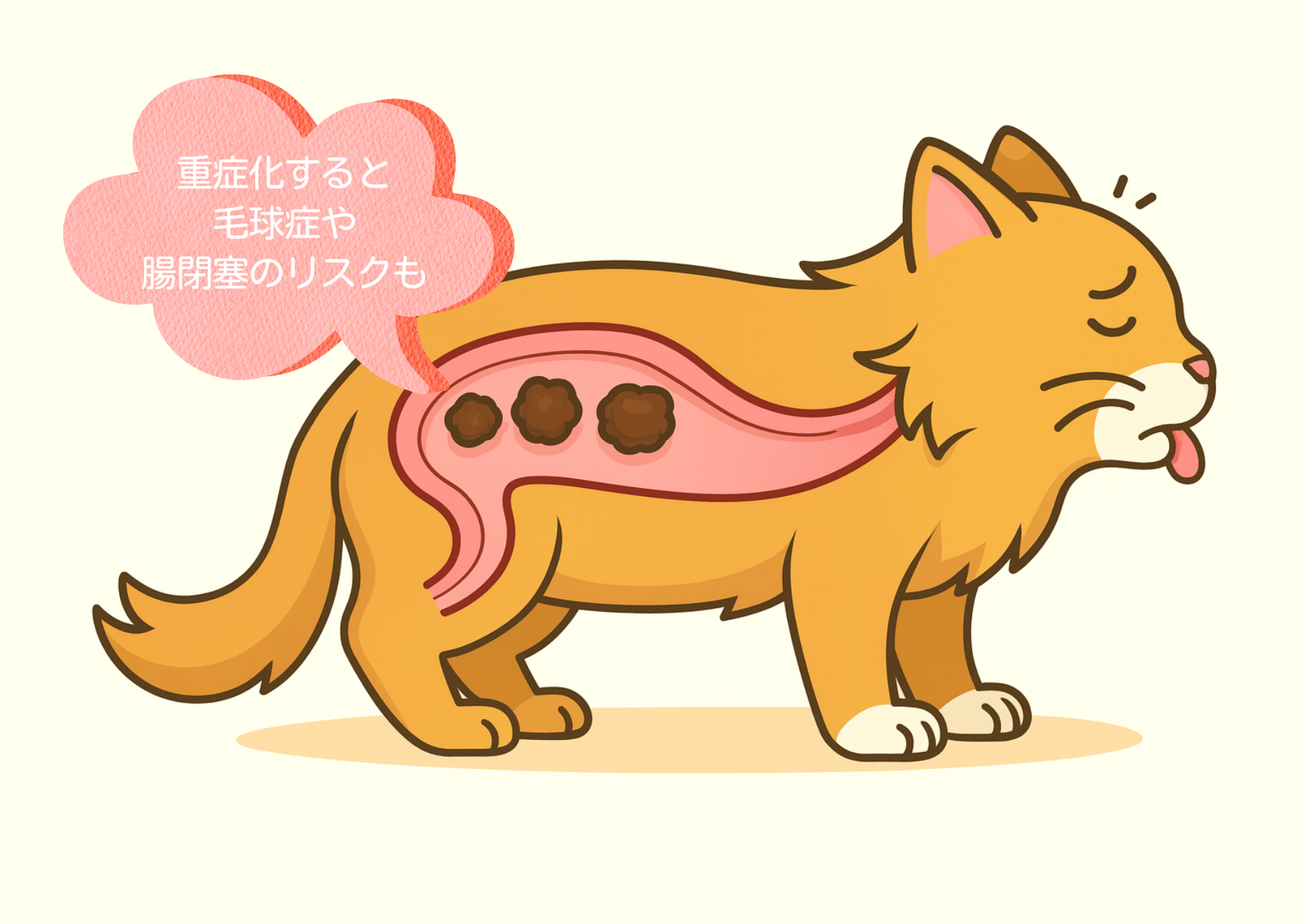 猫の断面図：毛球症のメカニズムは体内に毛玉が溜まりすぎや詰まりがによる