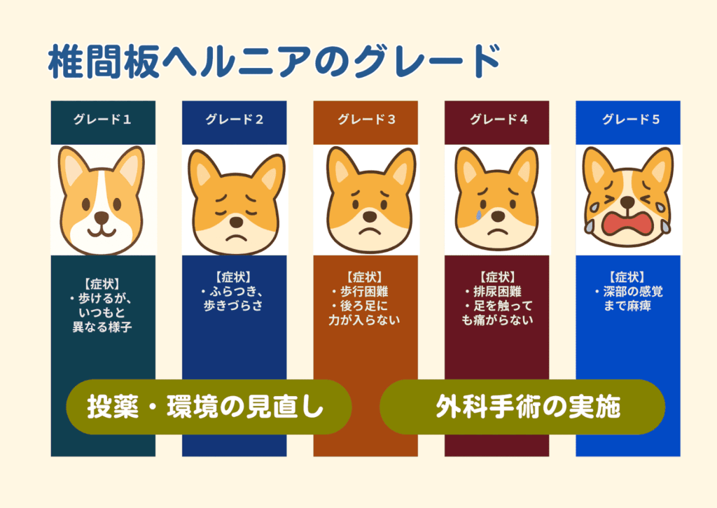 犬の椎間板ヘルニアグレード表：グレード1・2は「投薬や環境の見直し」で治療し、グレード3以上は外科手術を必要とする