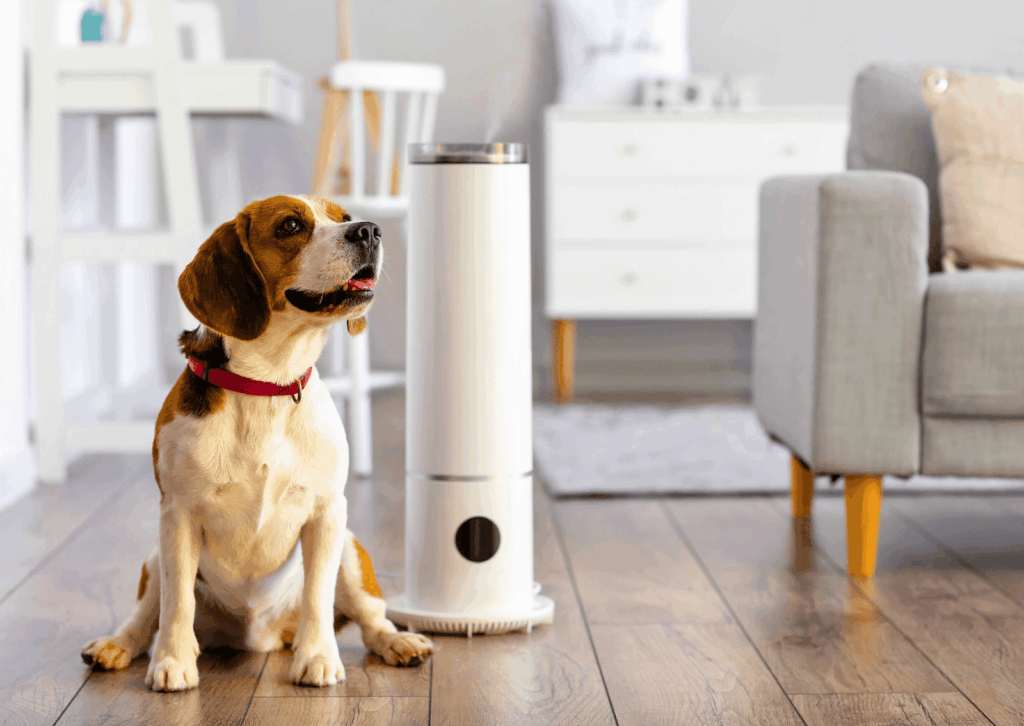 乾燥対策の工夫:加湿器と犬